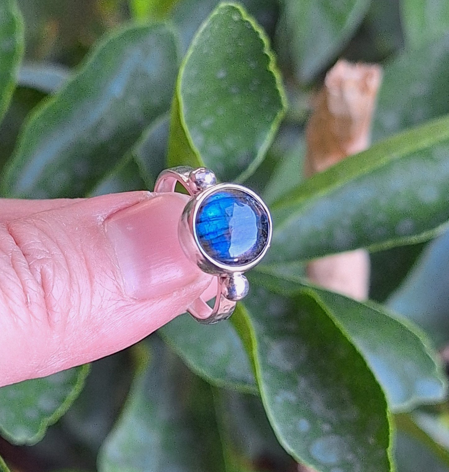 Anillo sortija Labradorita